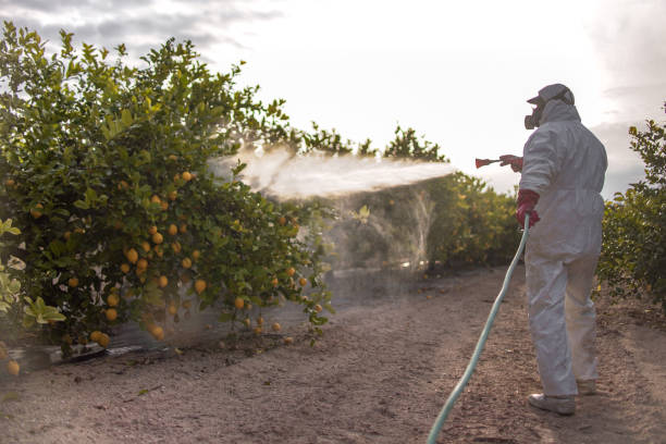 Best Best Pest Control Companies  in Sabetha, KS