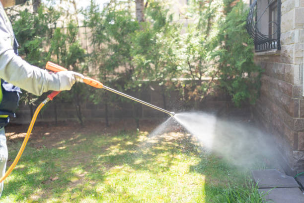 Best Affordable Pest Control Services  in Sabetha, KS