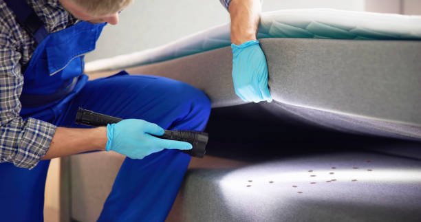 Best Wasp Removal Services  in Sabetha, KS