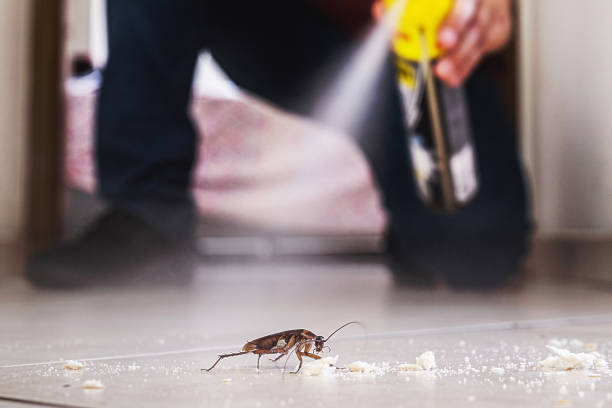 Best Pest Prevention Services  in Sabetha, KS