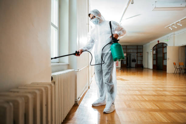 Best Termite Control Services  in Sabetha, KS
