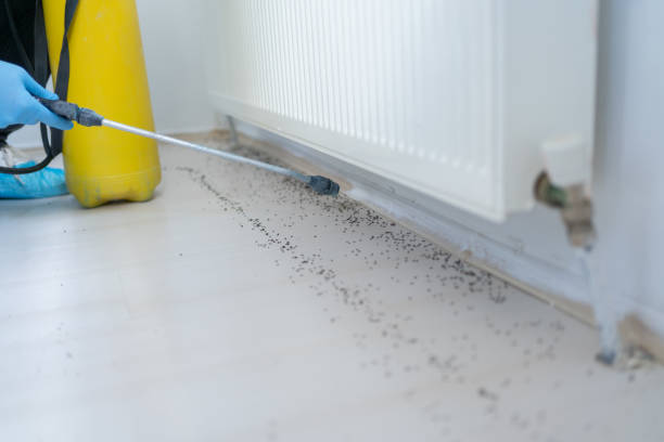 Best Residential Pest Control  in Sabetha, KS
